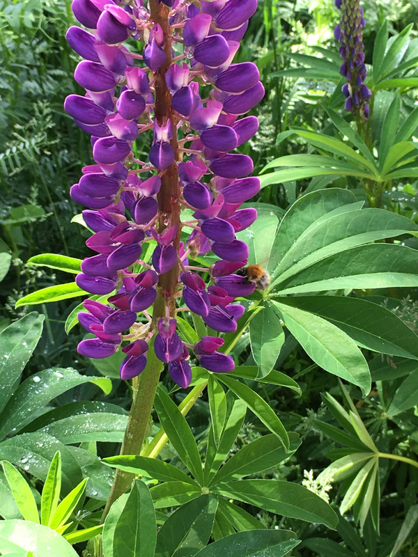 4283B1B0-7067-4144-A4FC-08374B60DC31