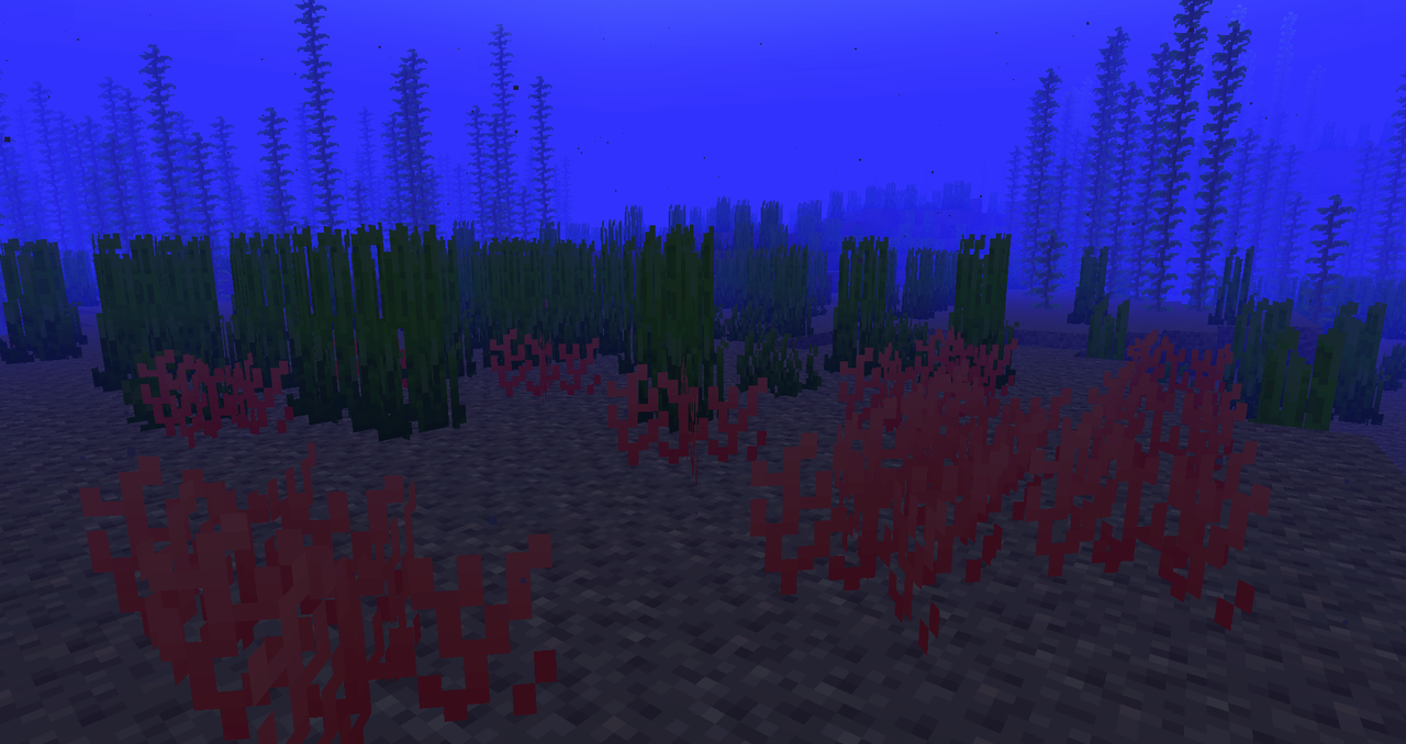 Red Coral in its natural habitat