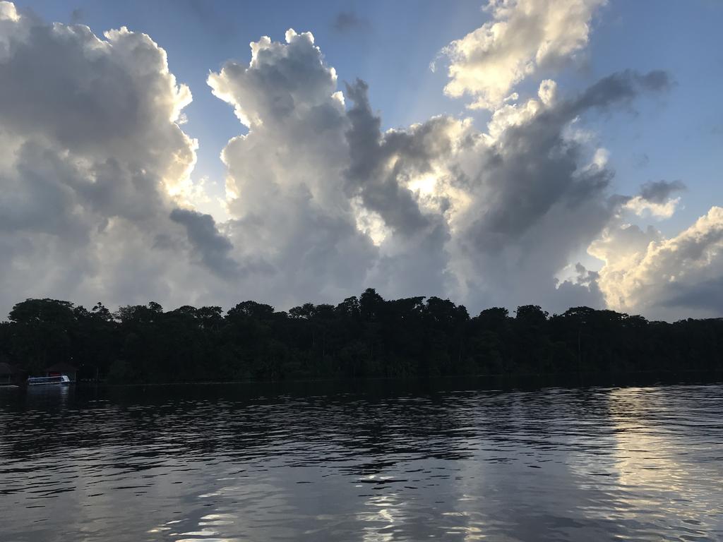 DIA 3: CANALES, COLINAS Y TORTUGAS - DE TORTUGAS Y PEREZOSOS. COSTA RICA 2019 (1)