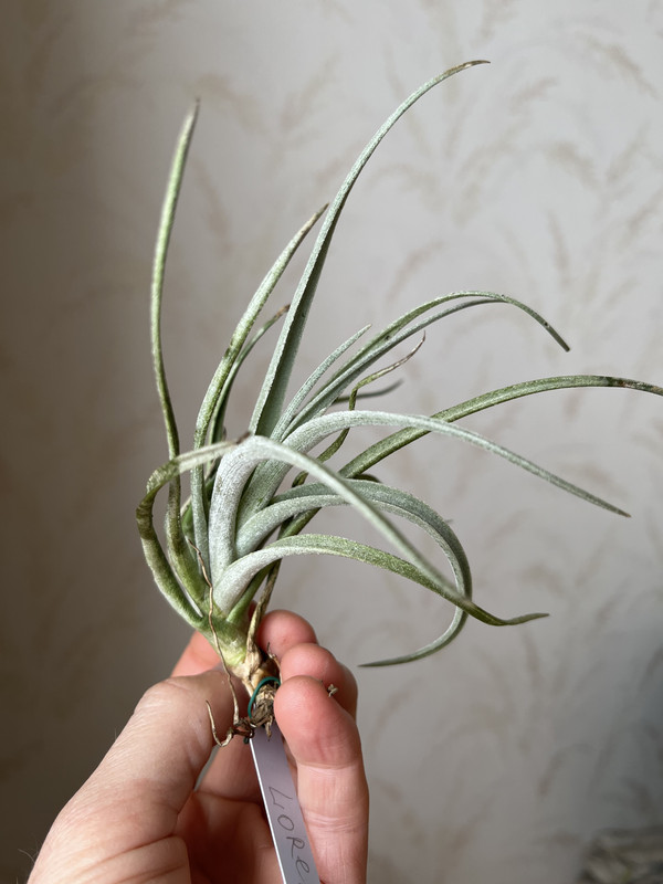 9B470394-473C-46CC-88AB-2A8DC9EB999F