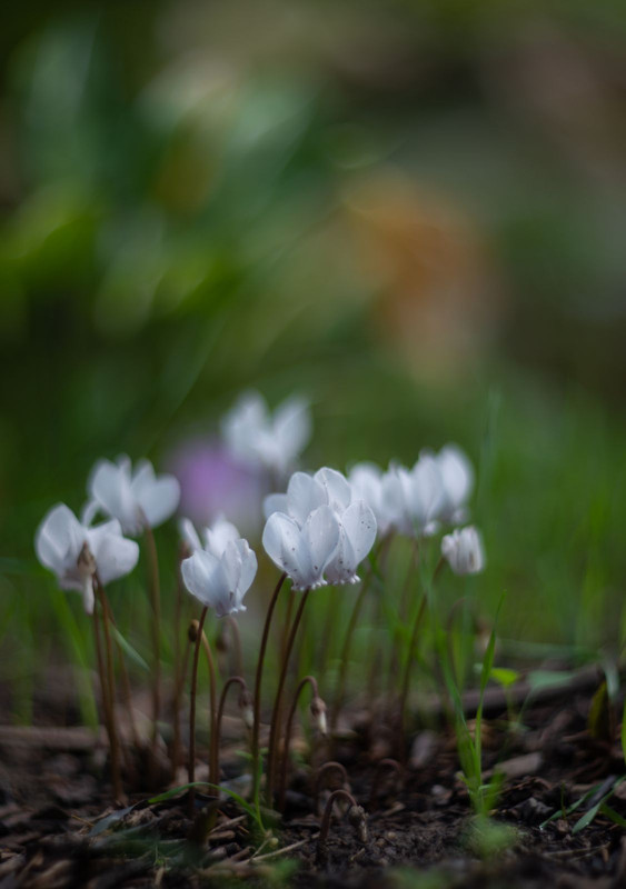 IMG-f3c7bf5c94441e0ed5385aaf2eb6e499-V