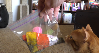 catnip in plastic bag