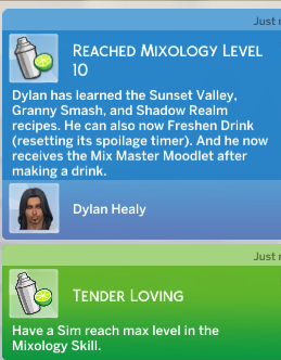 dylan-maxes-mixology-skill.png