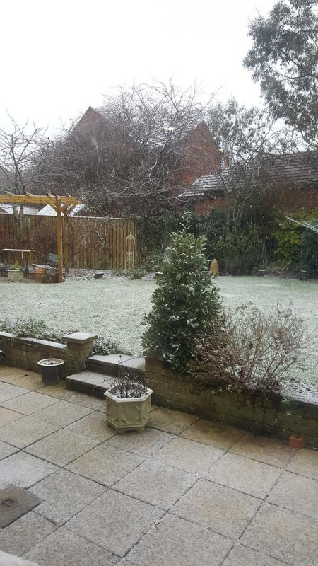 15165348591232008449614