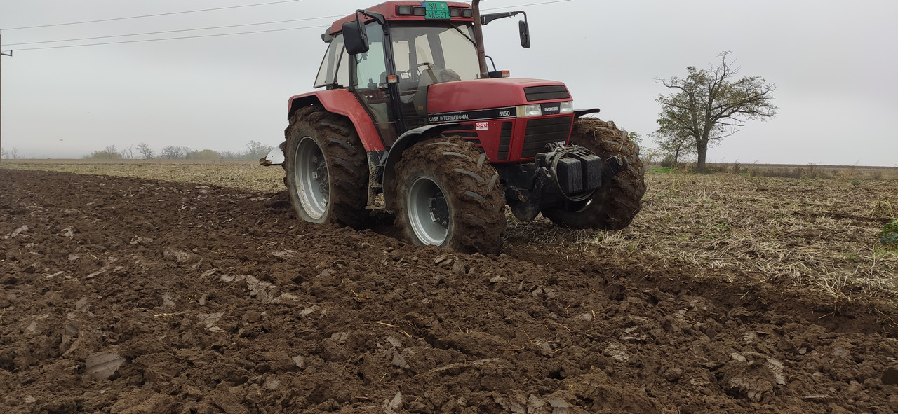 IMG-20201109-133434.jpg