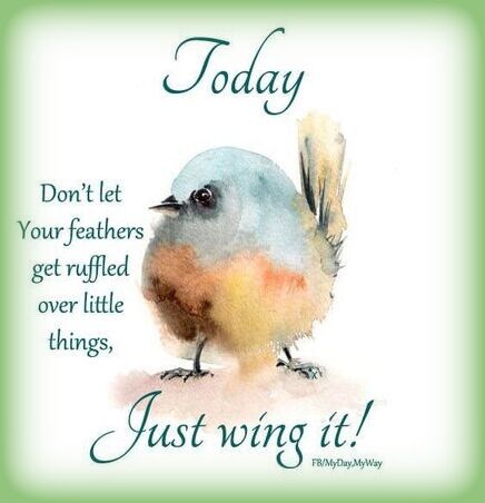 Bird-Ruffled-Feathers
