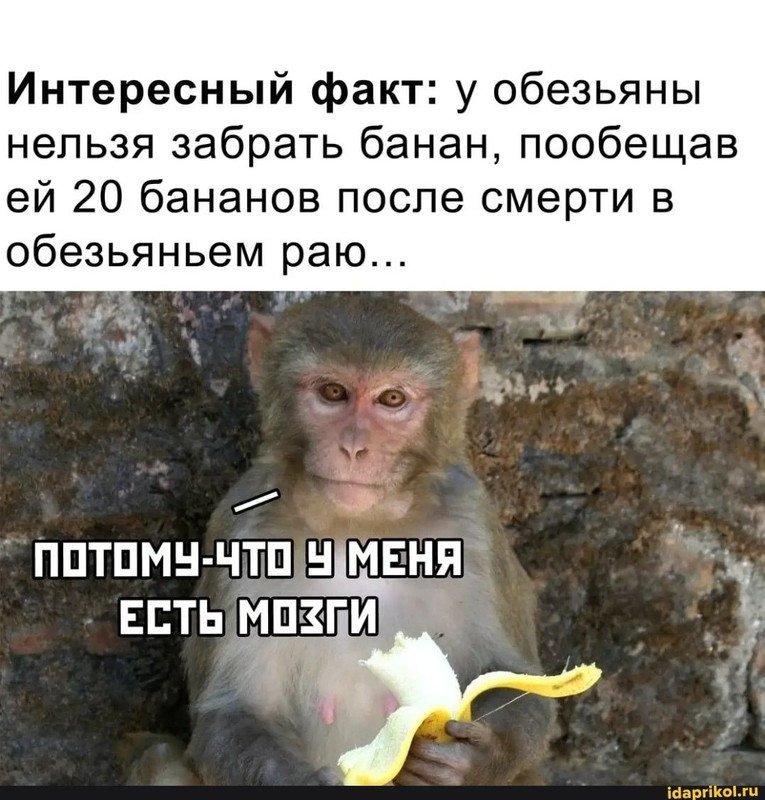 [Изображение: a04066224627fffbc519191072dcd72e.jpg]
