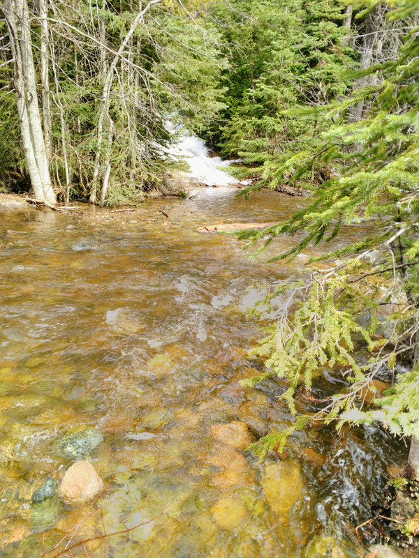 Easter 2019 Granite (42)