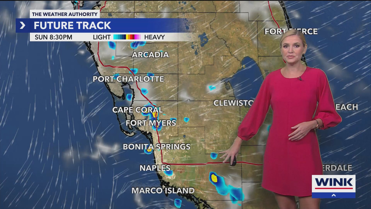 WINK News at 11_20240922_04000500.ts_snapshot_00.15.56.429
