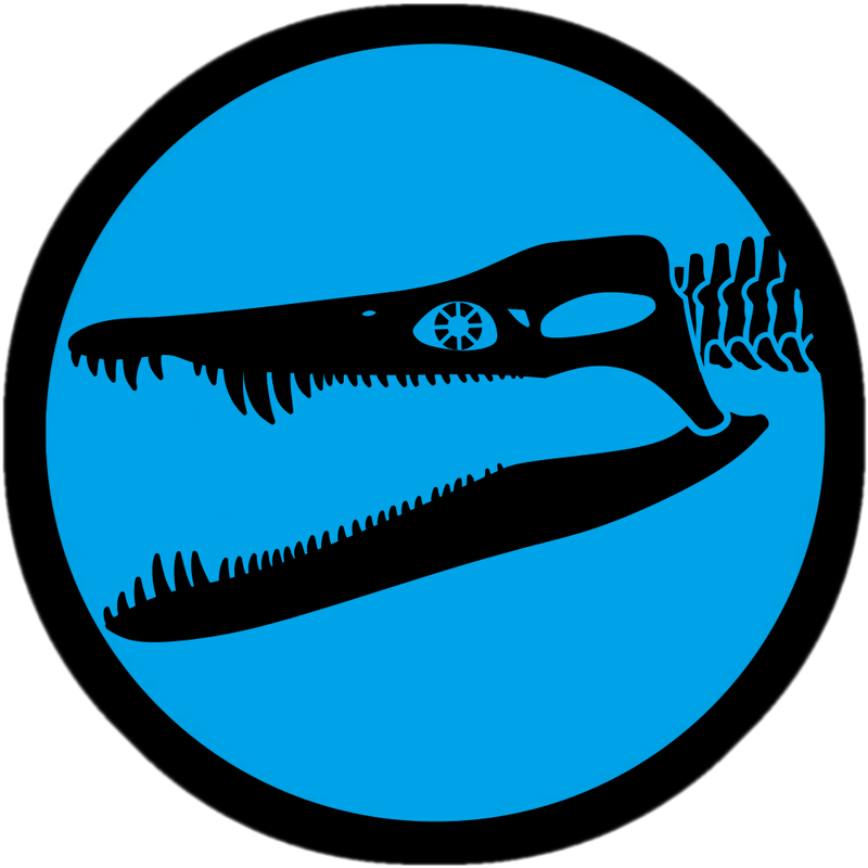 Skull of Liopleurodon