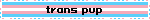 transpup blinkie