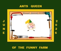 ants queen