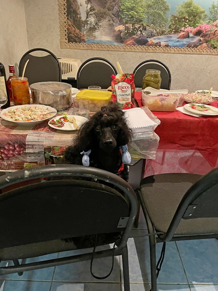 https://i.postimg.cc/C5TF1bxy/IMG-9176.jpg