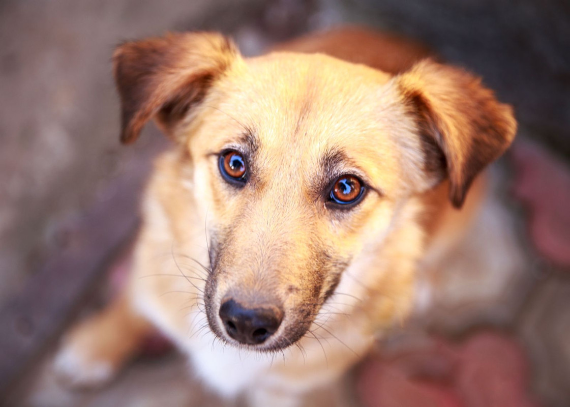 изображение_viber_2024-05-12_20-39-13-784