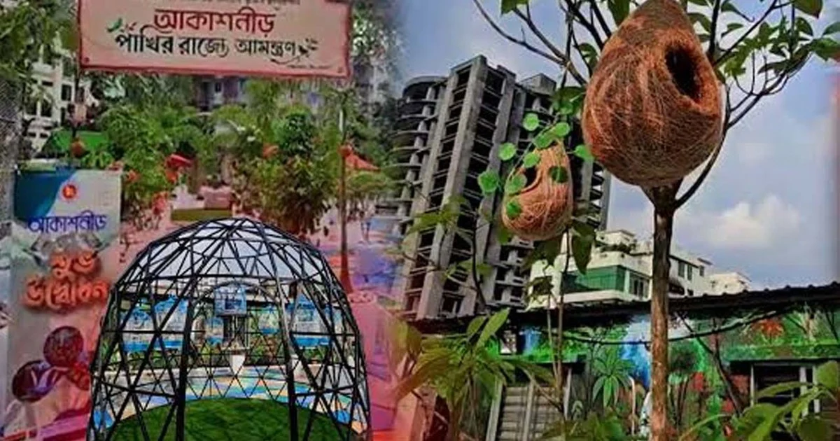 পাখিদের স্বর্গরাজ্য ঢাকা ডিসি অফিসের ছাদ