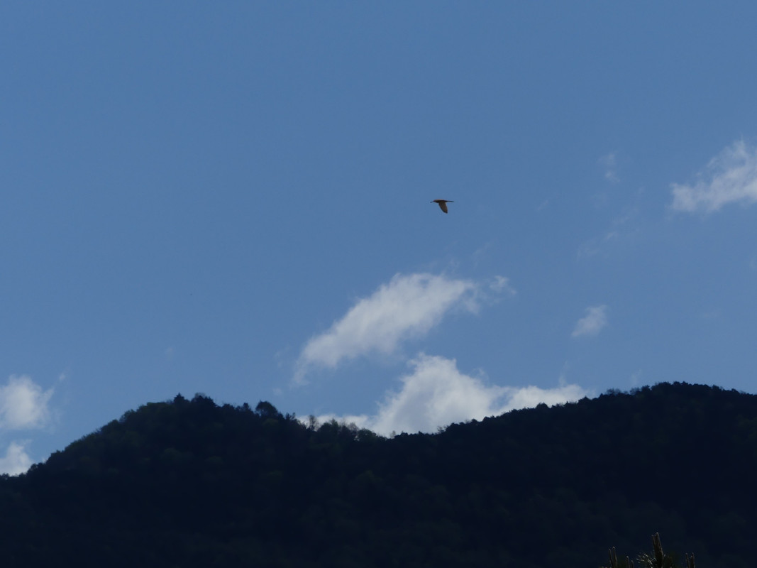 F62CBD4C-455A-4CC3-B8B5-731CD6B0EE4E