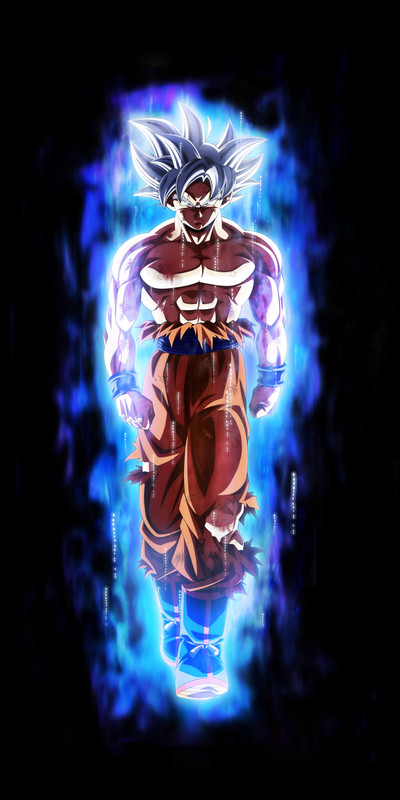 Goku-Ultra-Instinto-Dominado-Universo-7