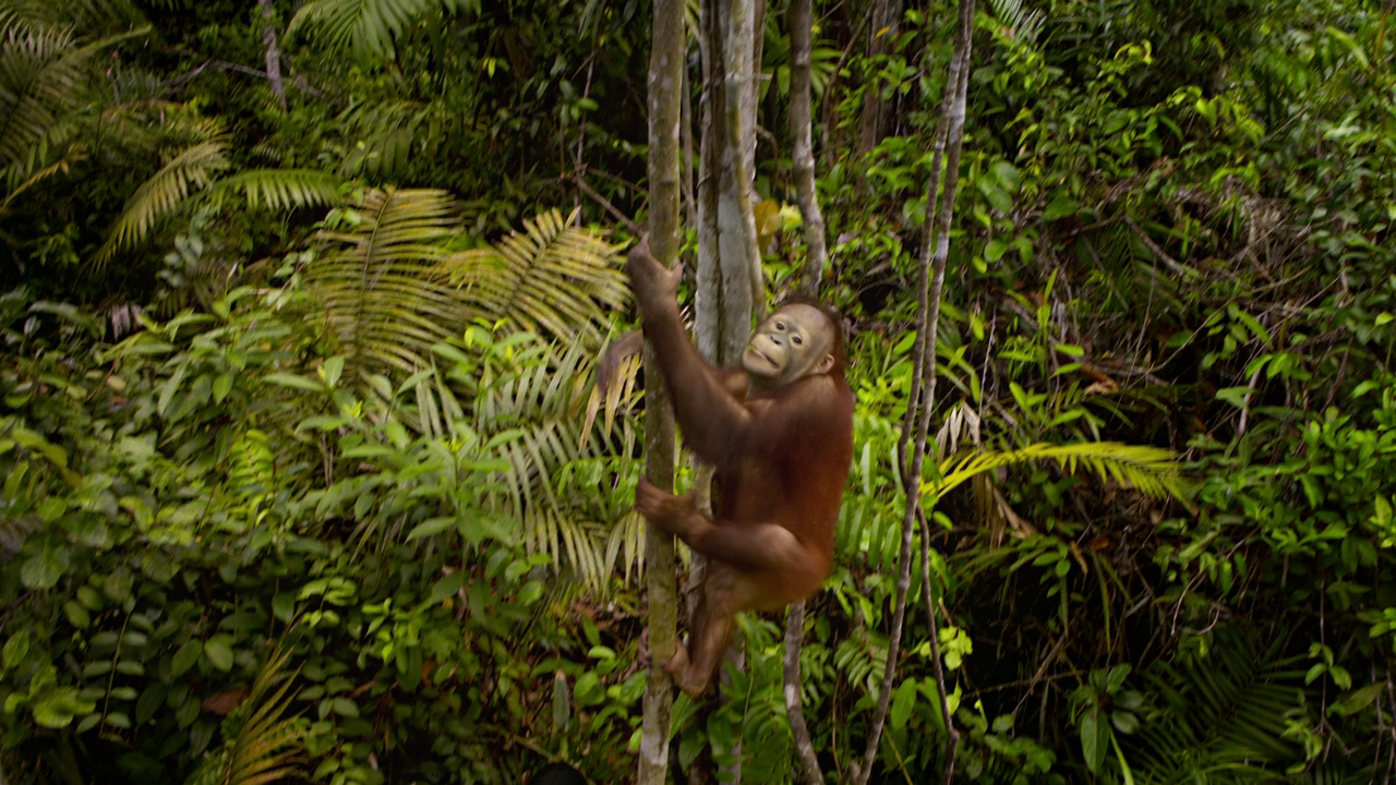 vlcsnap-2023-02-06-15h15m36s008