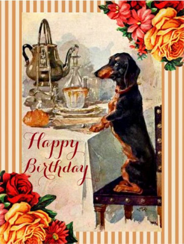 [Image: Anniversaire-teckel-66.jpg]