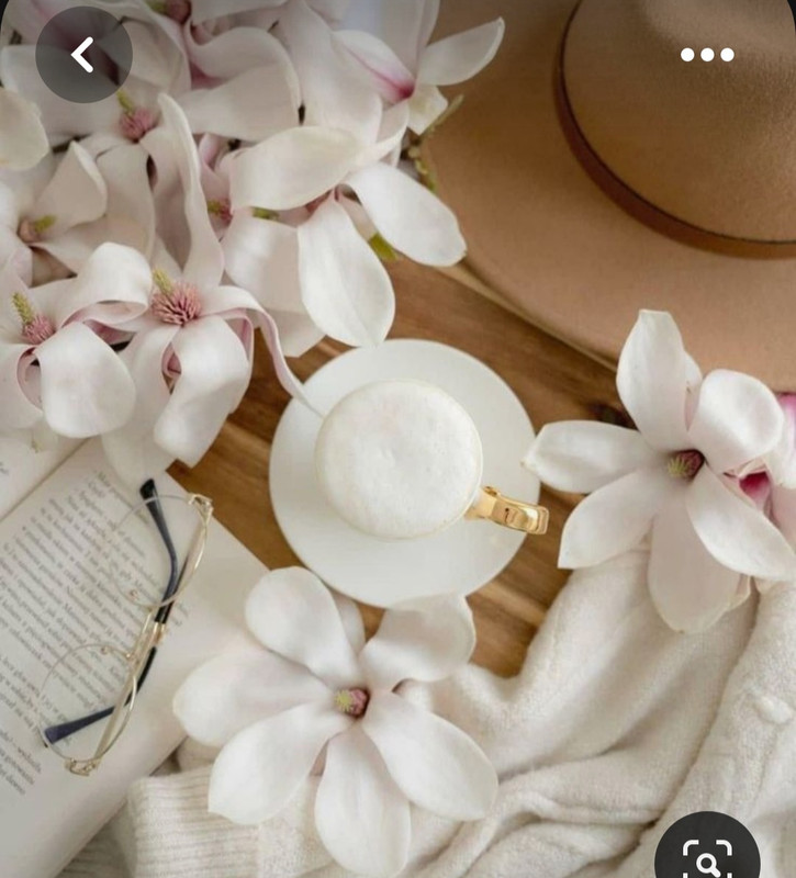 Screenshot_20230622_004425_Pinterest