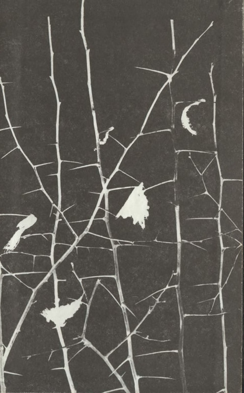 p0695