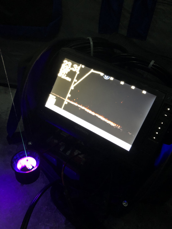 Crappie on the Panotpix Livescope
