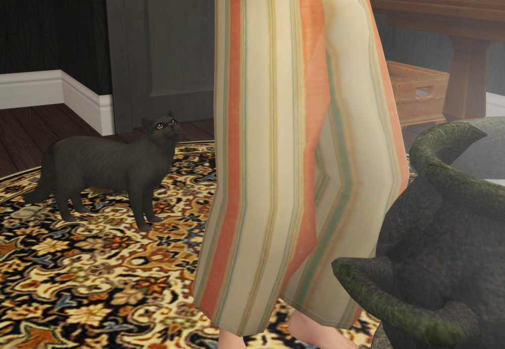 Sims2-EP9-RPC-2021-11-19-21-20-11-54