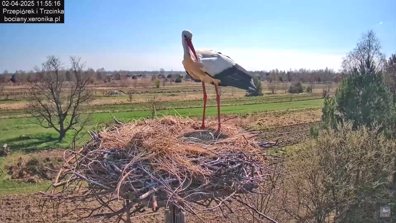 02042025krotkawizytabocka_2