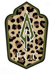https://i.postimg.cc/C5V56sXy/fcc1.png