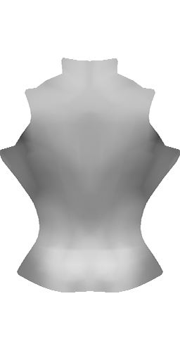 MIS-VVS-Vest-Back-Overlay