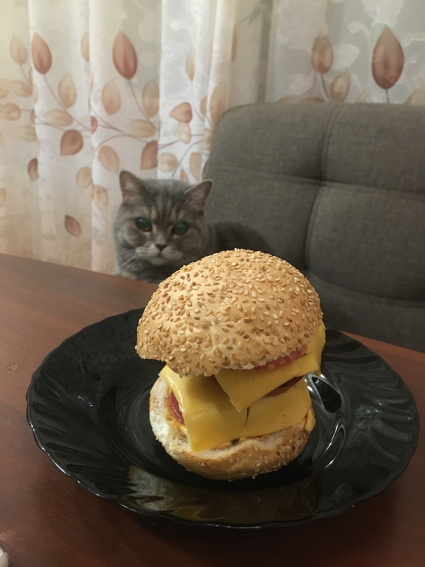 68010905-D83E-4ACE-B8C2-6F1D71925303