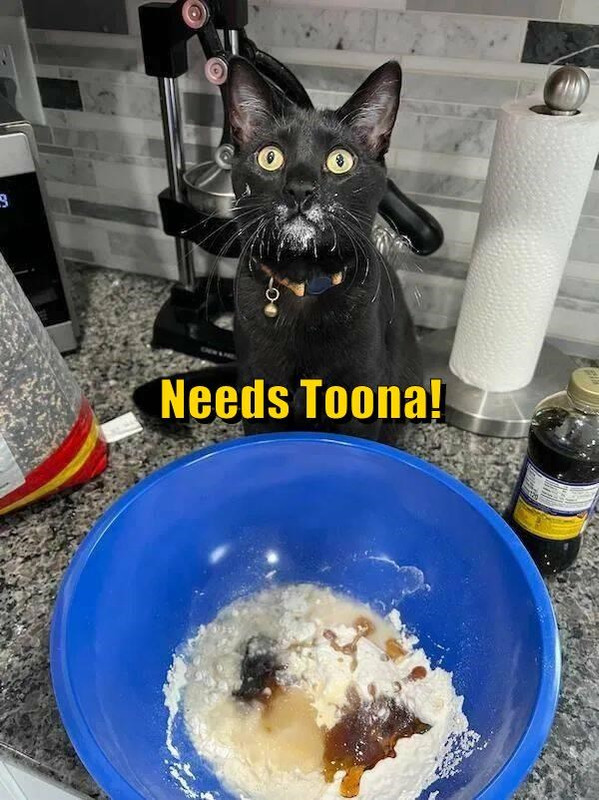 needs-toona