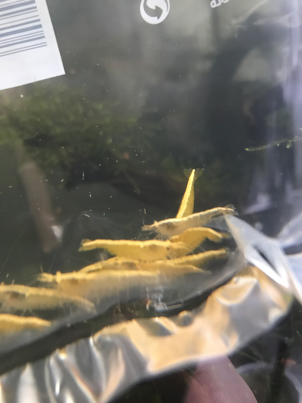 4CD72E44-C93A-4658-BB51-B383AE4AD010