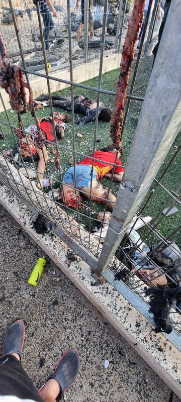 ۲۰۲۴۰۷۲۸_۰۵۰۲۵۵