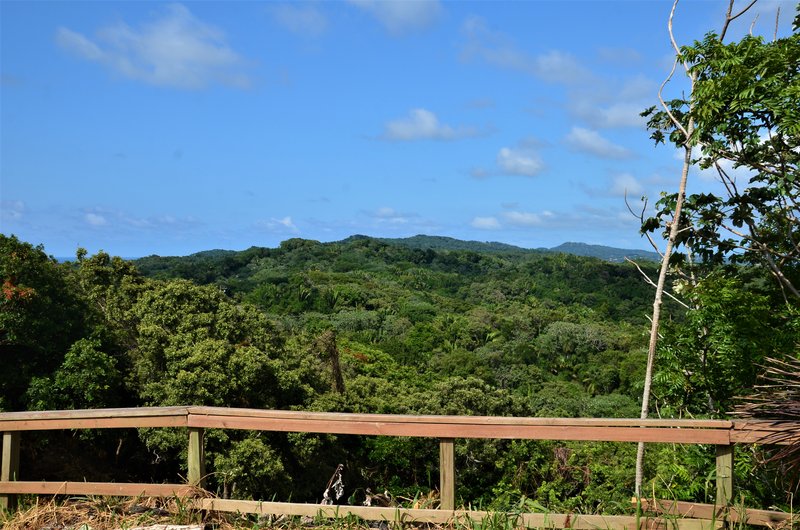 ISLA DE ROATAN-13-9-2017-HONDURAS - CRUCERO CARIBEÑO CON MSC OPERA-SEPTIEMBRE-2017 (115)