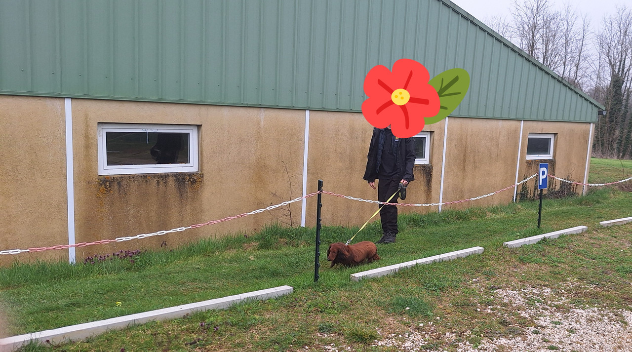 [Image: 20250325-111954.jpg]