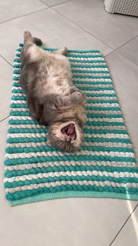 0CB6E1A5-DAED-4A86-9CF5-37CE7B1F1211