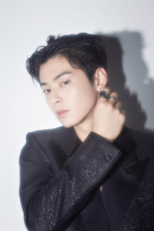 cha eun woo model