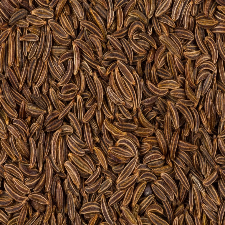 kathmandu.linea.eth Linea Name Service (.linea.eth domains) based on ENS PFP