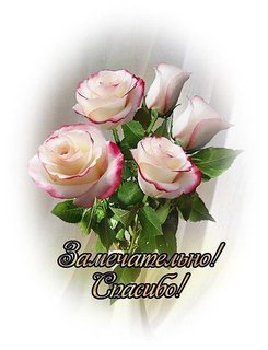 https://i.postimg.cc/C5Wb3cjK/764a71a039178b24988b70e811cb983c.jpg