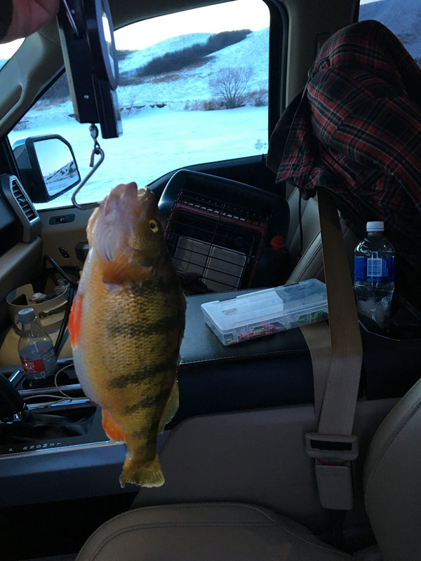 6A1E7236-CBF3-4E36-AF09-9D4AC80743BE