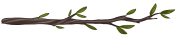 Divider-Branch3.png