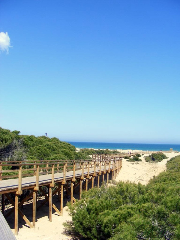 sand-boardwalk-Gran-Alicant-HD.jpg