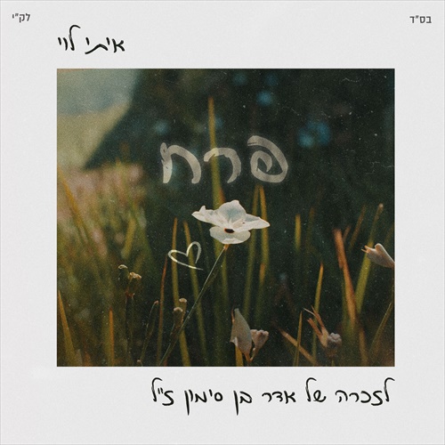 תמונה