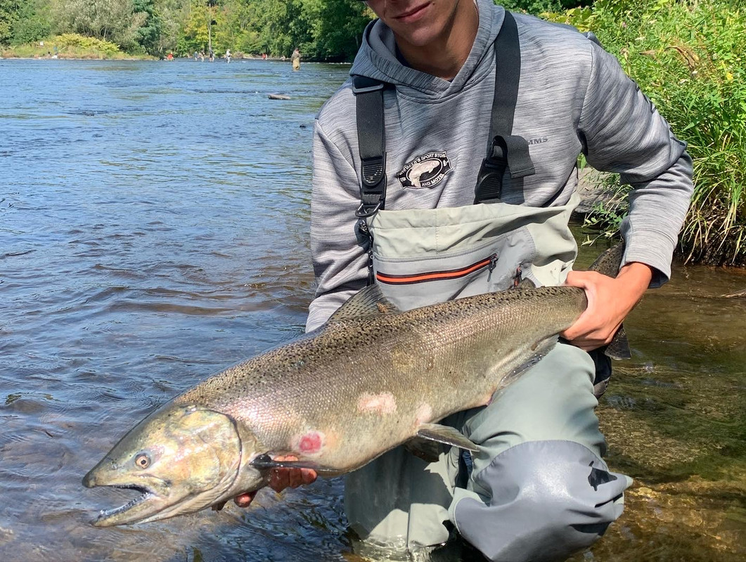 7DAD9833-C304-4FE1-81CC-043520B17AFE