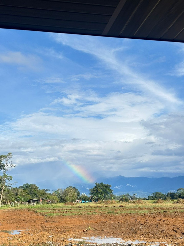 Clienta disfrutando su lote campestre en Colombia