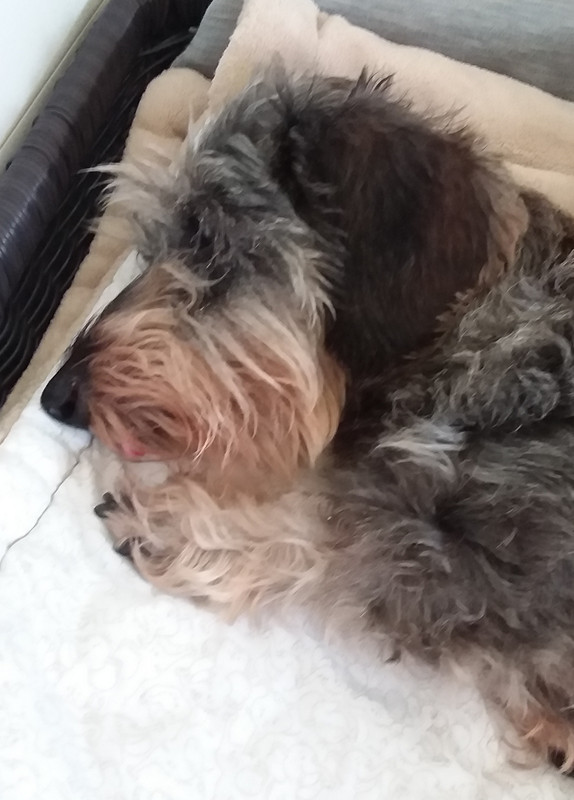 [Image: 20230815-153749.jpg]