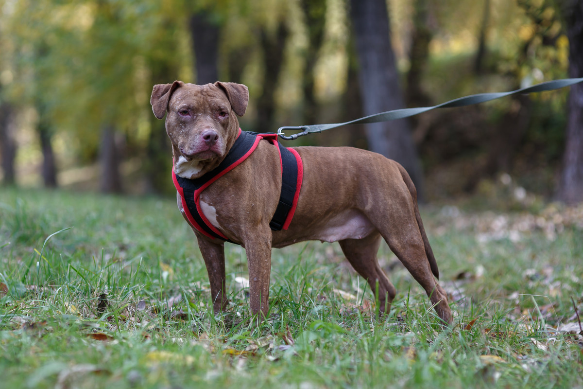 510ADC6D-6570-413C-89B0-5F4F9B728BB2