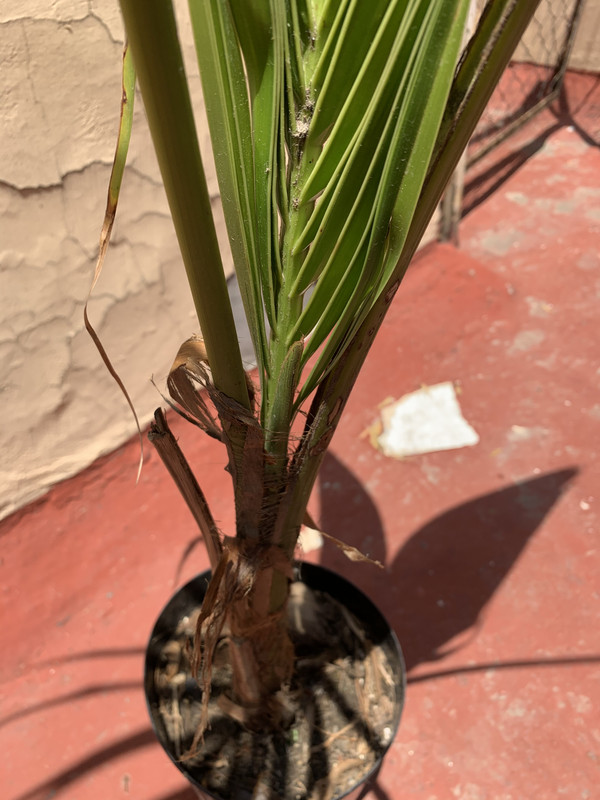 854E686B-757F-4E45-A97A-EA9A31C79A6D