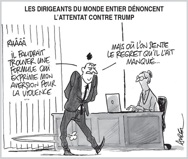 text alternatif